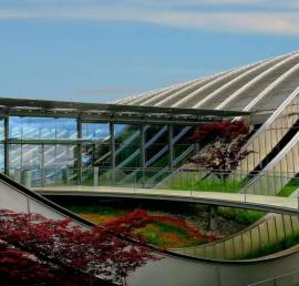 Kadıköyde Plansız Kentsel Dönüşüm